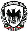 شاهین